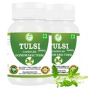 Tulsi Capsules 500 mg – 120 Veg Capsules | Holy Basil Extract | Herbal Supplement | Plant-Based | Vegan-Friendly | No Preservatives (Pack of 2)