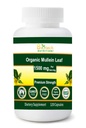 Organik Mullein Leaf 1500 mg ABD'de yapılan 120 Sebze Capsules hizmet ediyor