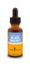 Herb Pharm Black Walnut Sıvı Saçlama ve Detoxating - 1 Ounce