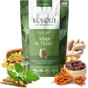 Adapt & Thrive - Enerji ve Stres Resilience, Organik Ashwagandha & Cordyceps Sağlıklı Adrenal Fonksiyonl Kahve Alternatiflerini Desteklemek için Soğurt