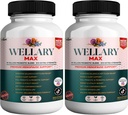 Wellary Max Menopause Support Supplement, 40 Milyar CFU Probiyotik Mix, 90 Capsules (2)