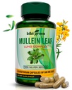 KIKI Green Mullein Leaf Extract Capsules - Vegan Herbal Supplement - for Lung Cleanse, Support, Better Respiratory, Immune Function - 1000mg 45 Servings - 90 Count