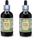 Muira Puama (Ptychopetalum Olacoides) Glycerite, Organic Alcohol-Free Liquid Extract (Brand Name: HerbalTerra, Proudly Made in USA) 2x4 fl.oz (2x120 ml)