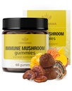 HERBAMAMA Immune Support Mushroom Gummies - Multi Mushroom Blend Kompleksi - Vegan, Non-GMO Immunity Supplement - 60 Pectin-Based Mango-Flavored Chews