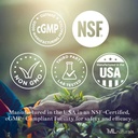 ML Naturals Phosphatidyl Serine 200 mg (Standard) 240 Vegetable Capsules. Supports Memory & Brain Function, Non-GMO, NSF-Certified & cGMP-Compliant