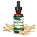 Nature's Answer White Ücretsiz 1 Akışkanlar Ounce | Immune Support | Bilişsel Fonksiyonl | Ruh Clarity ve Focus