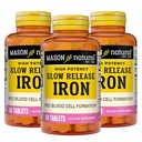 Mason Natural Slow,Release Iron (Ferrous Sulfate) 50 mg Tablet, 180 Day Supply, High Potency Supplement, Stomach, 3 Pack