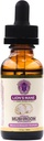 Lions Mane Mushroom Supplement - Organik Mushrooms - Dual-Extraction Oil Tincture w/ Ginkgo Biloba - Beyin, Hafıza, Odak, Gut Health - 30 ml, 1 Fl Oz (kısa)