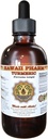 Turmeric (Curcuma Longa) Sıvı Tür 2 fl.oz