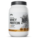 Levels Grass Fed Whey Protein Powder, No Artificials, 24G of Protein, Vanilla Cinnamon, 2LB