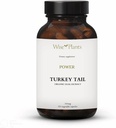 Türkiye Tail Mushroom Supplement. Dual Extract, Pure Fruiting Body, %30 Polysaccharides, 500 mg, 120 vegecaps (60-Day Supply). Sağlıklı Immune Fonksiyonları Destekleyebilir