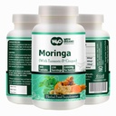 Turmeric ve Ginger ile Moringa Tabletleri, 300 Pills, 5 Ay Supply, 150 Hizmet başına 1000 Mg. Birden çok Faydaları olan bir Capsule - Supports Digestive Health (Pack of 1)