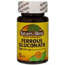 Nature's Blend Ferrous Gluconate Tabletler 325 mg 100 Kont Per Şişe (5 Şişe)