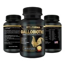 Gallobiyotik Rooster için Doğal Multivitamin, Hens - 100 Tablet | Vitamina Completas para Gallos