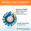 REVGENETICS Gelişmiş NAD+ Supplement, 60 Capsules - Sağlıklı Aging & Longevity için Diyet Supplement