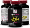 Natural antioxidant Extract - Ginkgo BILOBA Extract - Herbal Extract Benefits, Ginkgo biloba Natural, Ginkgo biloba Leaf Extract Benefits, Herbal antioxidant Product, Ginkgo 1 Bottle 60 Capsules