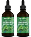 360 Nutrition Chlorophyll Liquid Drops with Peppermint Oil, GF & Vegan Body Internal Deodorant Supplement, Supports Gut Health, Digestion, Energy, Radiant Skin, Fast Absorption (4 Fl Oz (2 Count))
