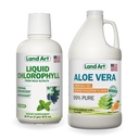 Land Art Aloe Vera Drinkable Gel - Orange Tangerine Flavored - Cold-Processed - Organic Fresh Leaves - 64floz + Liquid Chlorophyll Mint Flavored - Cold Extracted from Wild Non-GMO Alfalfa - 16floz