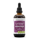 Secrets of the Tribe Quit Secret Alcohol-Free Extract, Licorice,Lungwort,Nutmeg,St. John's Wort. Glycerite Tincture (4 fl oz)