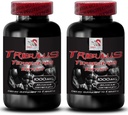Doğal Stamina Boost - TRIBULUS TERRESTRIS Ekstraksiyon - Güçlü ve Faaliyet Desteği, Enerji Optimizasyonu Formula, Plant-Based Power, Body Performance Meeting, Active Recovery, Energy Flow 2Bot 180Tabs