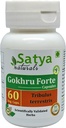 Gokhru Forte Capsules 500 mg. 60 Veg. Capsule | Gokharu (Tribulus Terrestris) Extract Capsules for Men and women | Ayurvedic Herbal Supplement/Remedies | 10:1 Forte (1 Bottle of 60 Capsules)