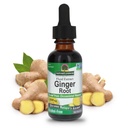 Nature's Cevap Ginger Root Alkol Free Extract 1 Ounce | Destekler Stomach Fonksiyonu | Vegan | Vejetaryen | Non-GMO | Gluten Ücretsiz
