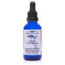 Eidon Ionic Minerals - Liquid Silica Mineral Concentrate - 2 oz