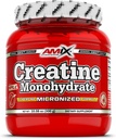 Amix Kretine Monohidrat - Toz 300 Grams