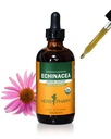 Herbm Phar Immune Sistem Desteği için Organik Echinacea Root Sıvı Türlemeyi Onayladı, Organik Cane Alkol, 4 Ounce