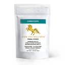 Addictive Wellness Cordyceps Militaris – 5.4 mg/g Cordycepin – High Potency Mushroom Powder – Energy & Endurance Support – Grown in Canada, Tested in USA
