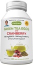 ANDREW LESSMAN Yeşil Çay EGCG & Cranberry 180 Capsules - Catechins ve Polyols için Standartize. Dokuları, Organları ve Sistemleri Vücut boyunca korumanıza yardımcı olur. Güçlü Anti-oksi Desteği
