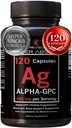 Alpha GPC Supplement & BioPerine for Hyper Absorption - 120 Count, Alpha-GPC 600mg per Serving - Nootropics for Memory, Focus, Energy, & Drive - Choline Supplements to Boost Acetylcholine, Made in USA