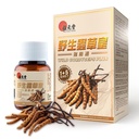 Wild Cordyceps Plus – Tibetan Wild Cordyceps & 5 Cultivated Cordyceps for Immune, Energy & Lung Support – 60 Capsules