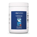 Antioksit Araştırma Grubu Hücreleri - Mikro Optik Hücre Toz, 2000 mg Çözülen Fiber Supplement, Tozlu Hücreler, Non-Fermentable, Hipoallergenic - 8.8 Oz