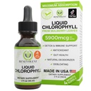 Benevolent Nourishment Chlorophyll Supplement, Detox & Immune Support, Internal Deodorizer, Liquid Drops