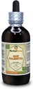Saw Palmetto (Serenoa Repens) Tincture, Organic Dried Berries Liquid Extract (Brand Name: HerbalTerra, Proudly Made in USA) 4 fl.oz (120 ml)