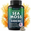 Sea Moss Capsules - İrlandalı Deniz Moss Burdock Root ile Gelişmiş, Immunity, Gut, & Energy - Superfood Sea Moss Supplements w/Raw Sea Moss Toz - 120 İrlandalı Seamoss Pills Pills